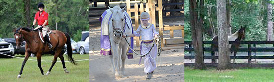 Riders and Horses at Coventry Farms Tallahassee